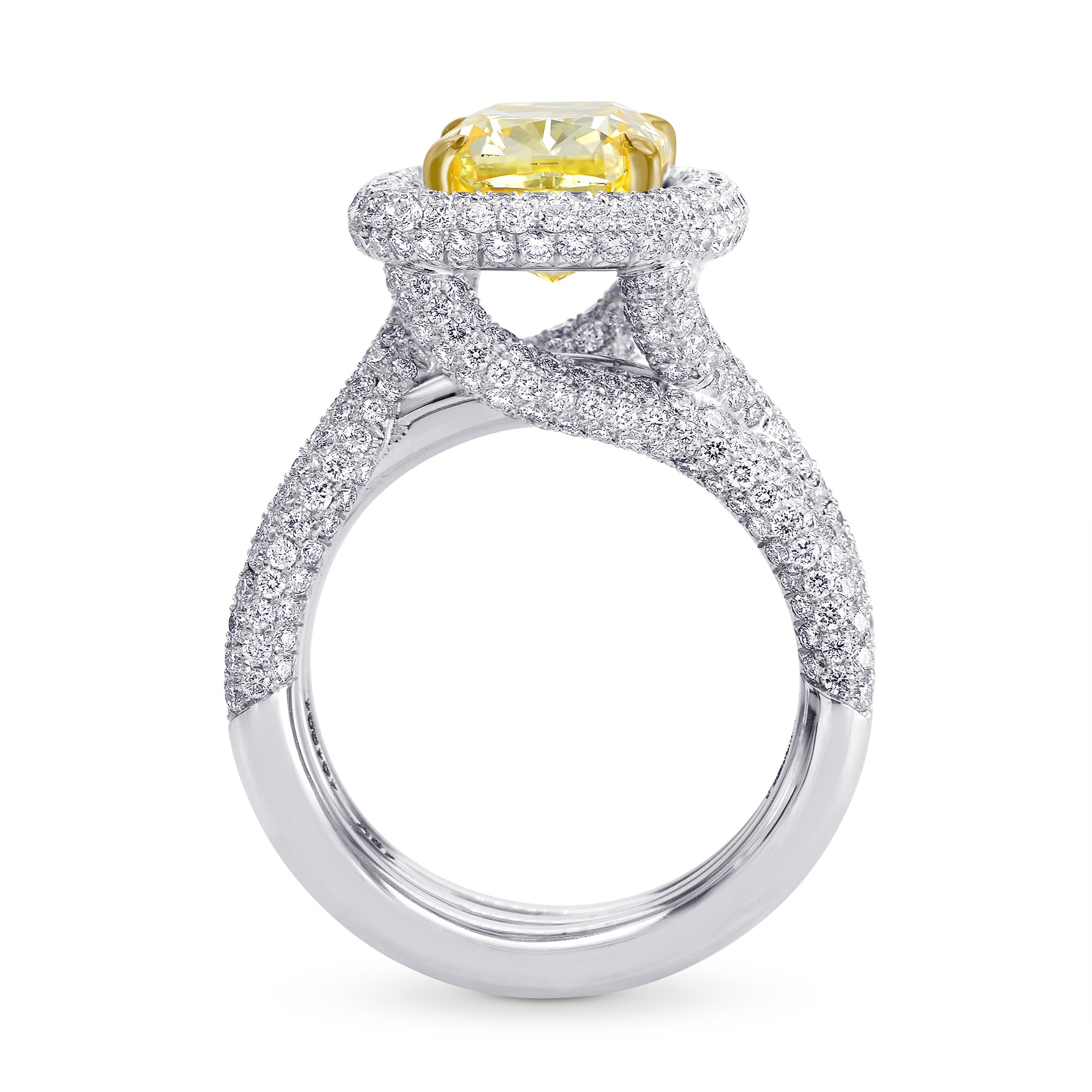 Extraordinary Halo and Multiple Band Fancy Intense Yellow  Ring  