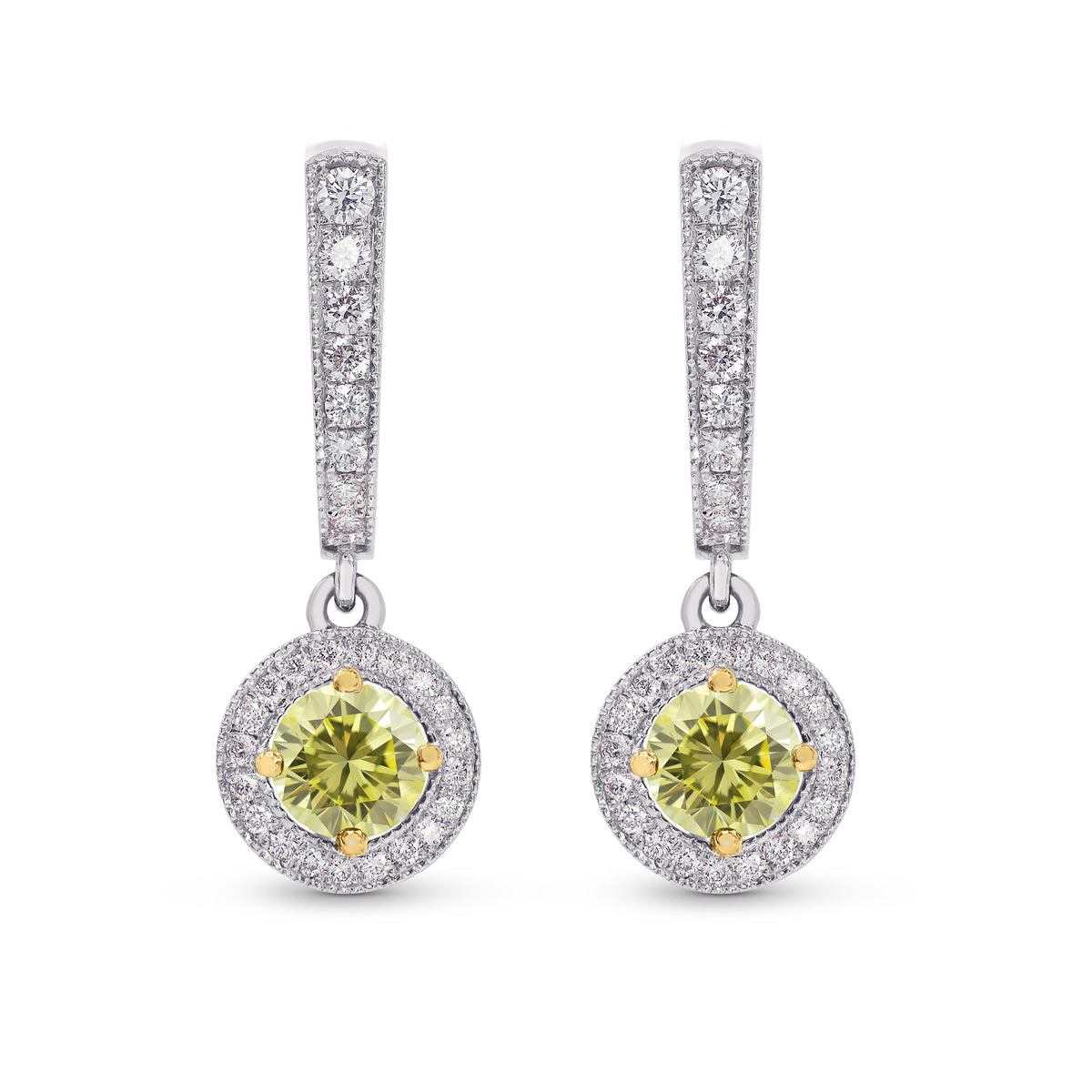 Diamond Drop Halo Earrings