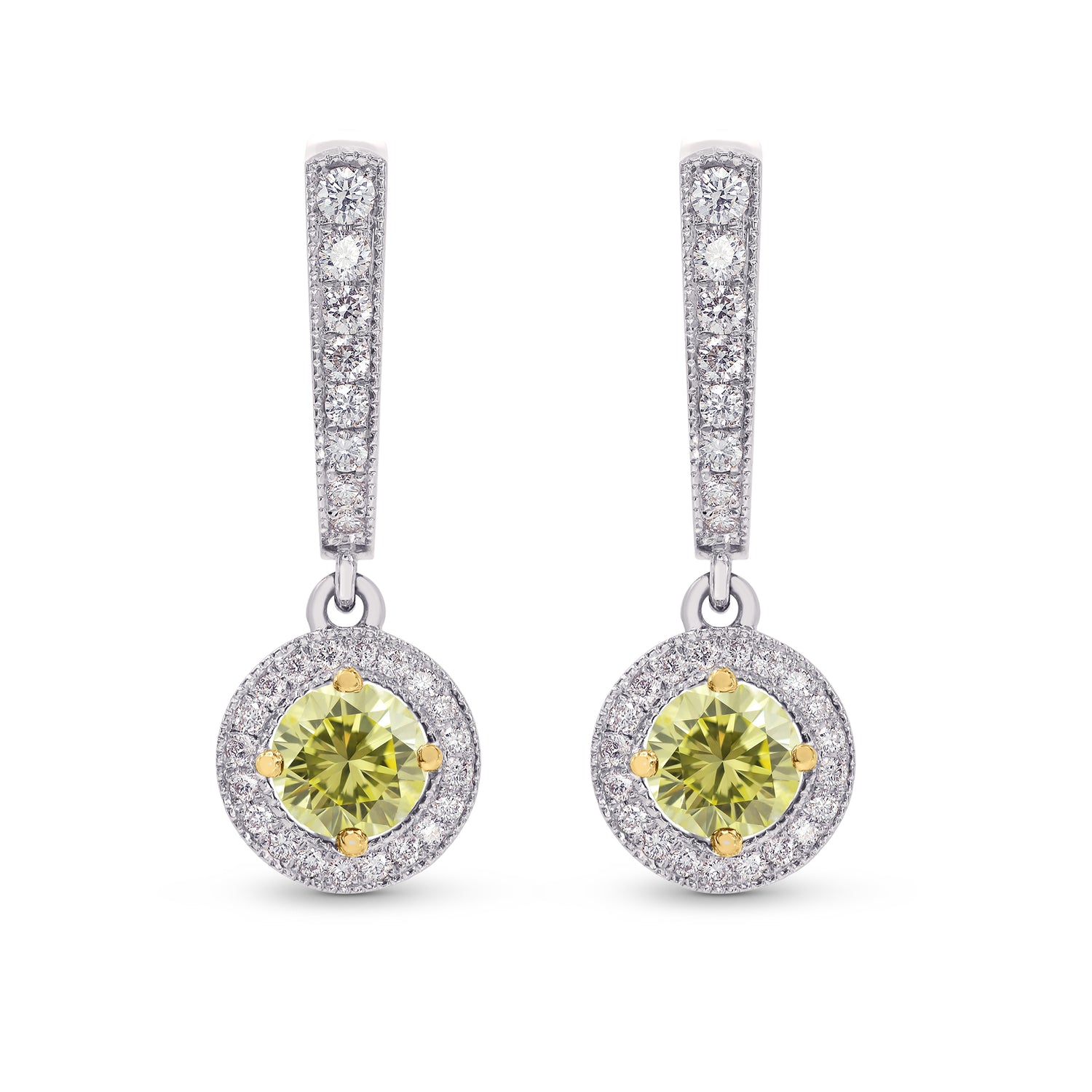 Diamond Drop Halo Earrings