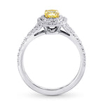 Platinum Fancy Intense Yellow Oval Diamond Double Halo Ring