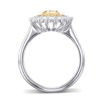 Double Halo Diamond Ring Setting - 2