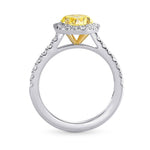 Halo Engagement & Wedding Ring Setting - 2