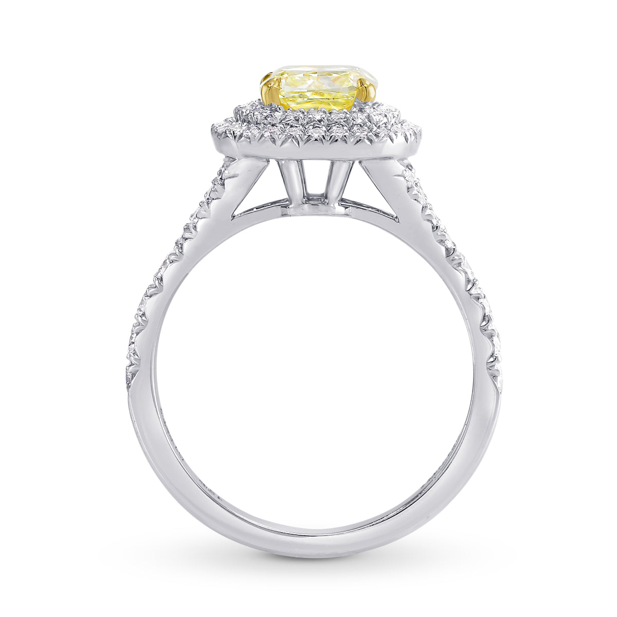 Lovely Yellow Cushion Diamond Double Halo Ring