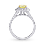  Lovely Yellow Cushion Diamond Double Halo Ring