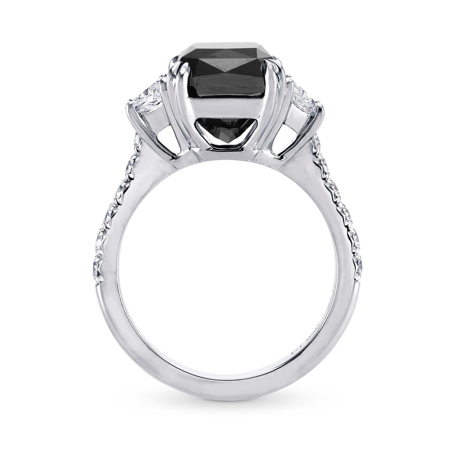 Natural Unheated Fancy Black Diamond Engagement Ring