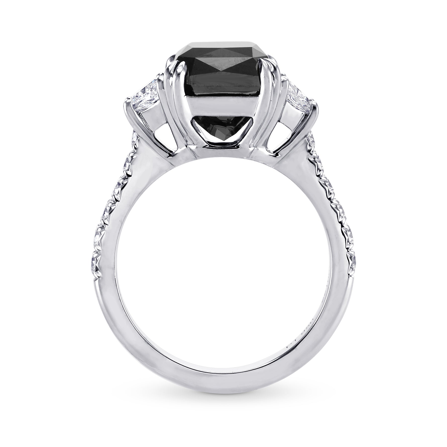 Natural Unheated Fancy Black Diamond Engagement Ring