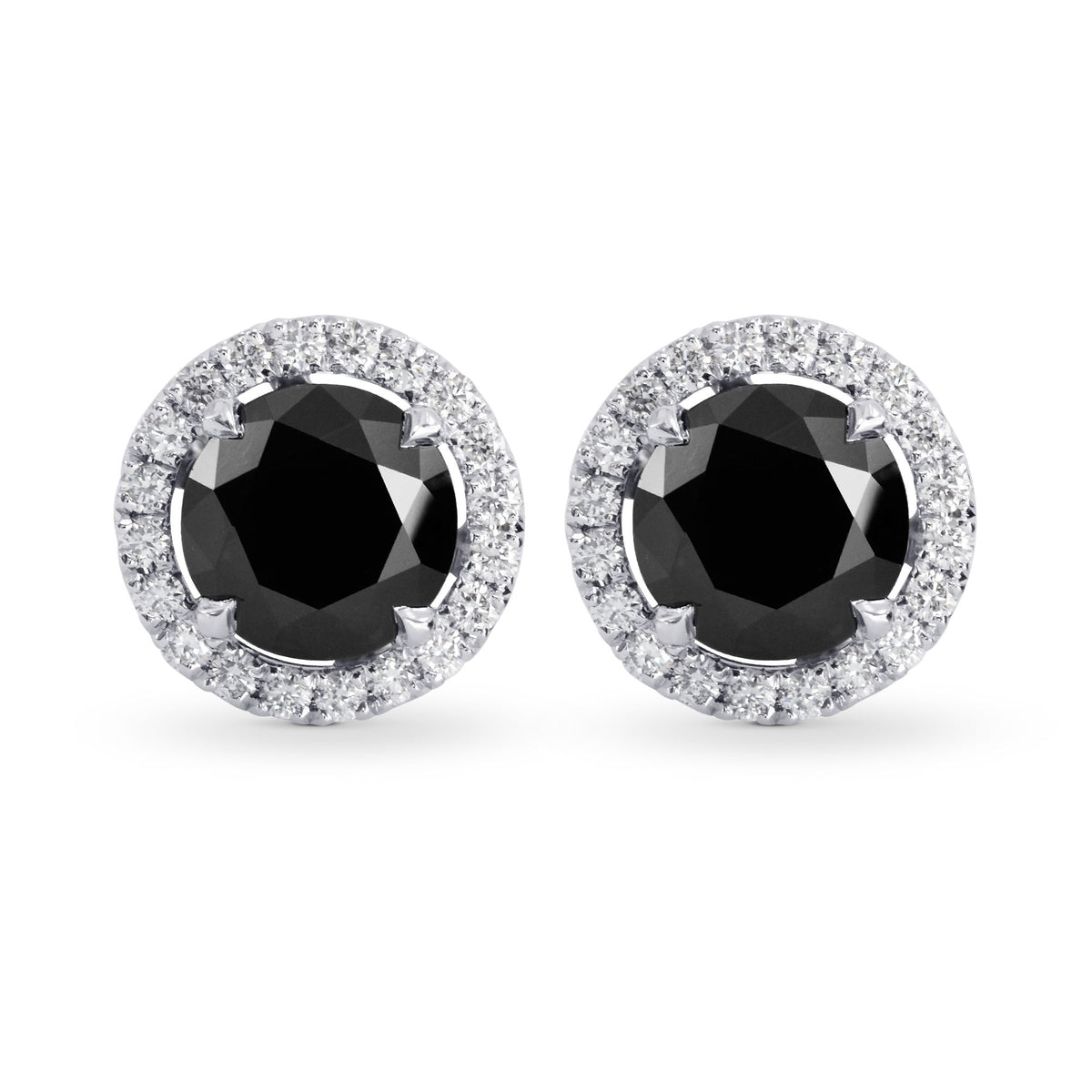 Fancy Black Round Brilliant Diamond Halo Earrings