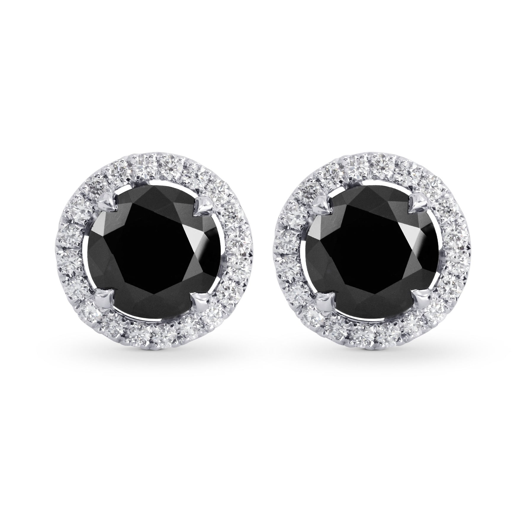 Fancy Black Round Brilliant Diamond Halo Earrings