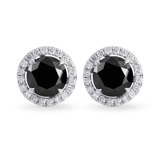 Fancy Black Round Brilliant Diamond Halo Earrings