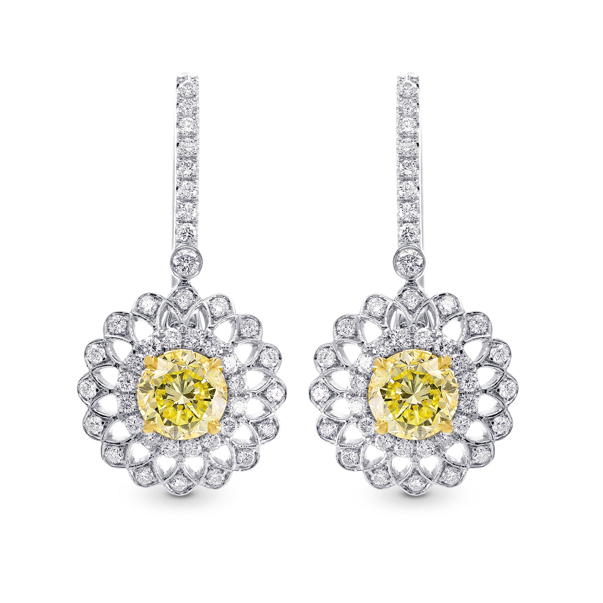 Fancy Yellow Round Brillant Halo Earrings