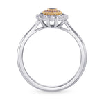 Bluish Gray & Pink Diamond Floral Halo Ring