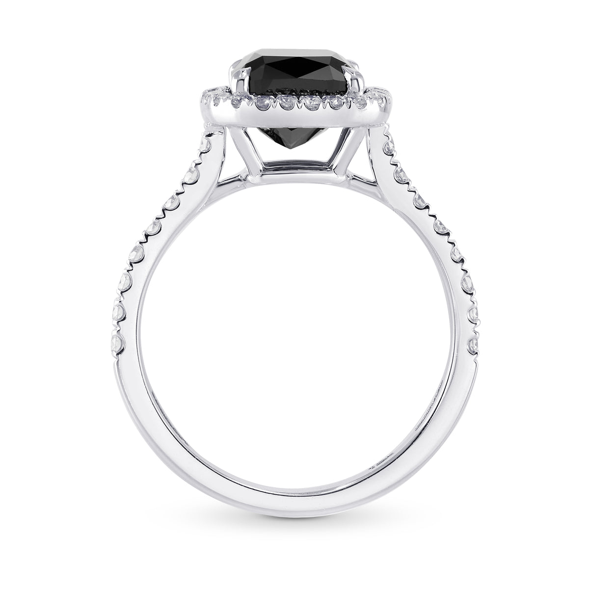Fancy Black Cushion Diamond Halo Ring