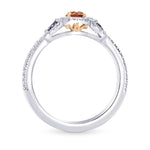 Argyle Fancy Orangy Pink & Fancy Blue Diamond Halo Ring