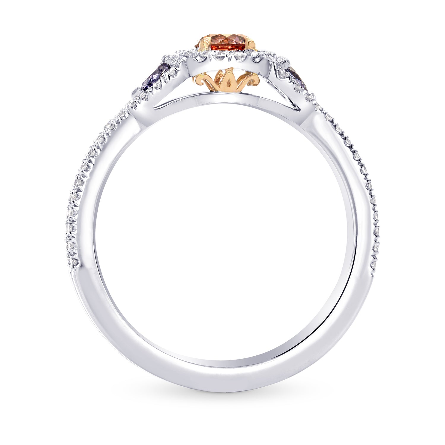 Argyle Fancy Orangy Pink & Fancy Blue Diamond Halo Ring