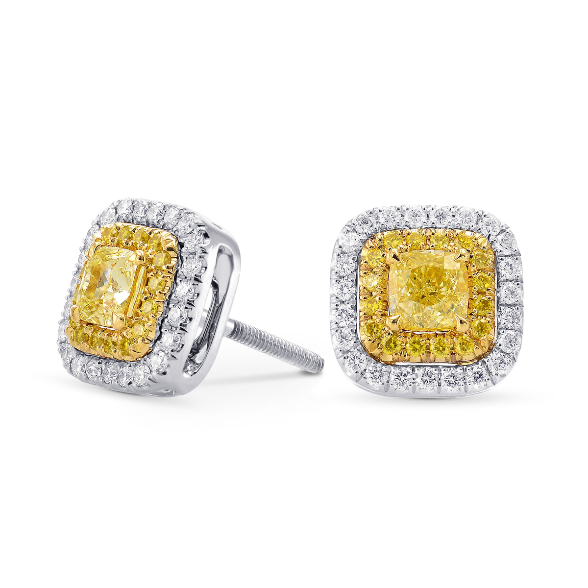 Fancy Yellow Cushion Double Halo Earrings