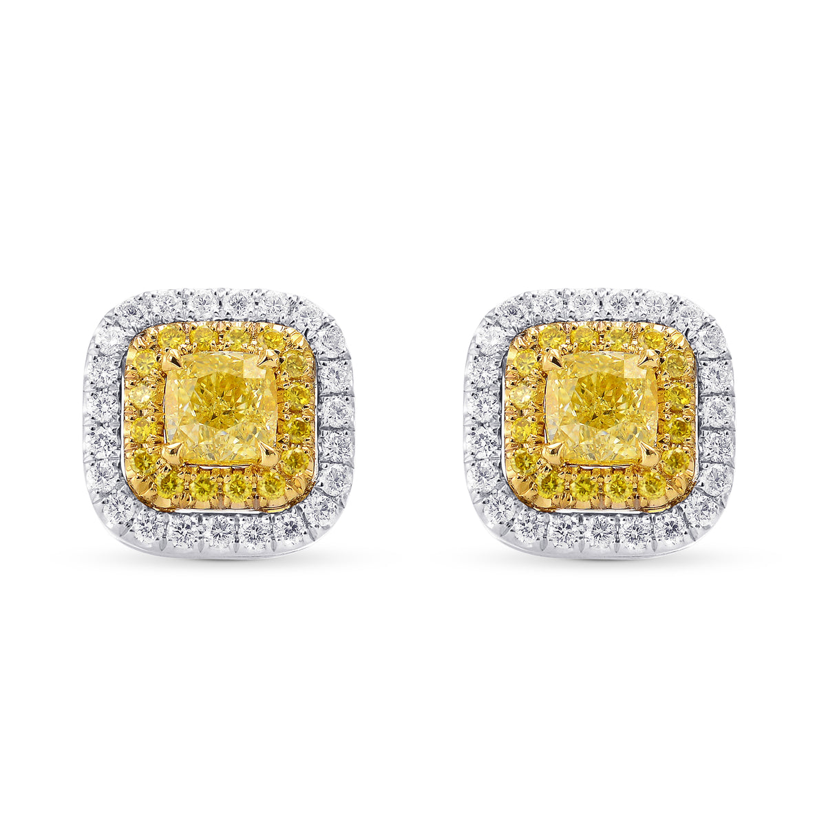 Fancy Yellow Cushion Double Halo Earrings