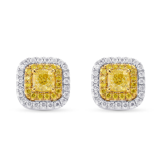 Fancy Yellow Cushion Double Halo Earrings