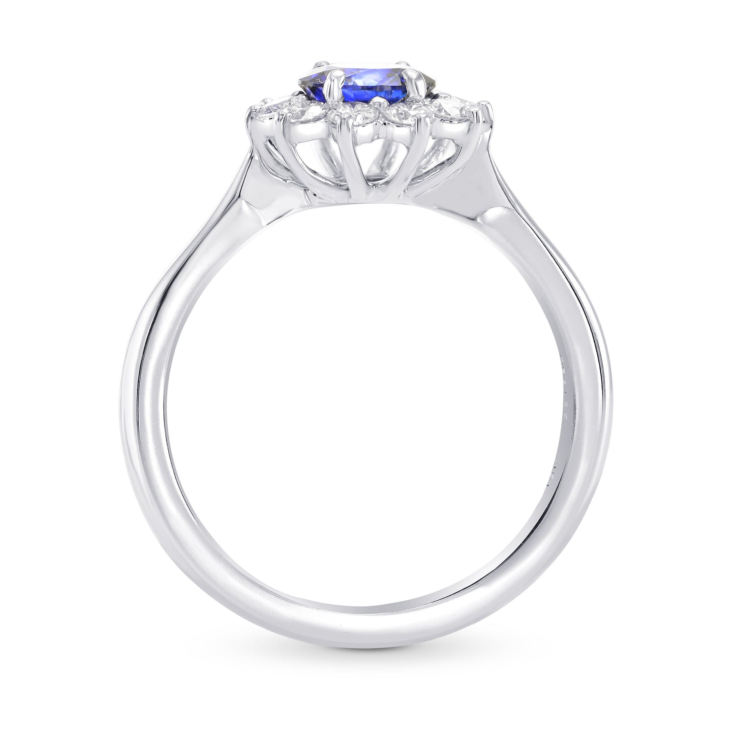 Round Sapphire & Diamond Halo Dress Ring
