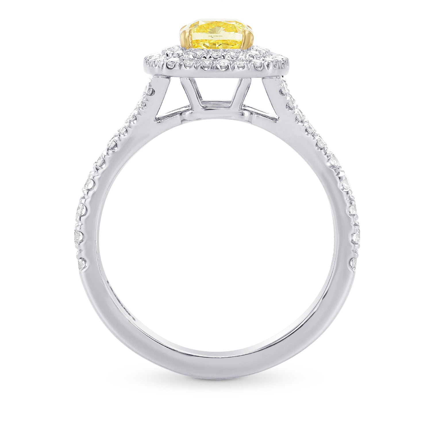 Fancy Intense Yellow Cushion Diamond Double Halo Ring