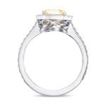 Halo Milgrain Diamond Ring Setting - 2