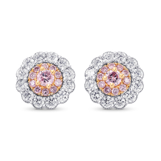 Fancy Intense Pink & White Diamond Pave Flower Earrings