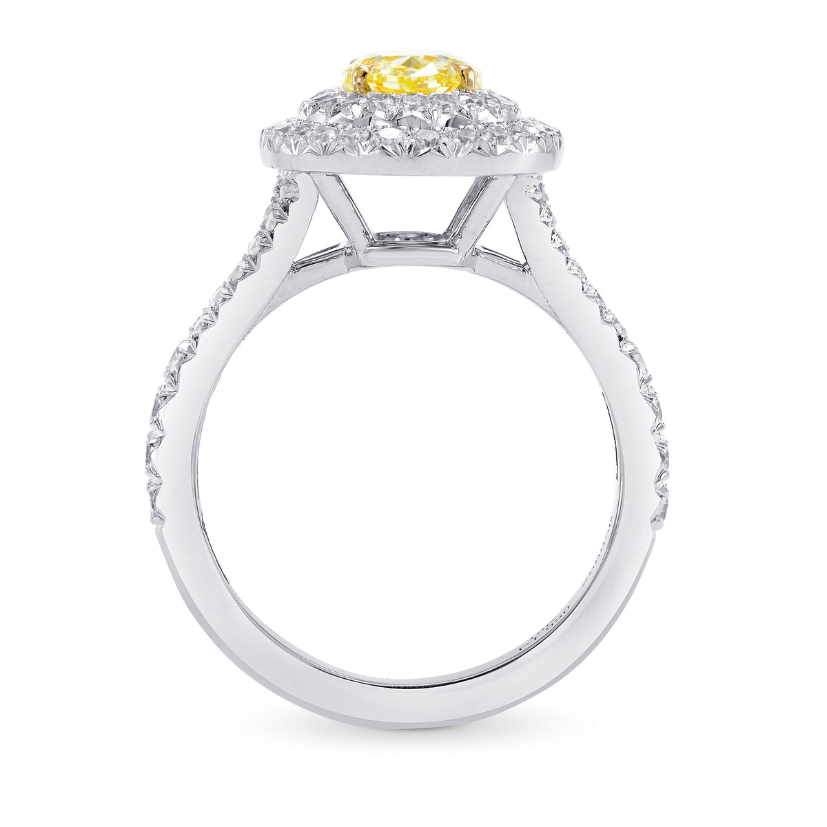 Fancy Yellow Oval Double Halo Ring
