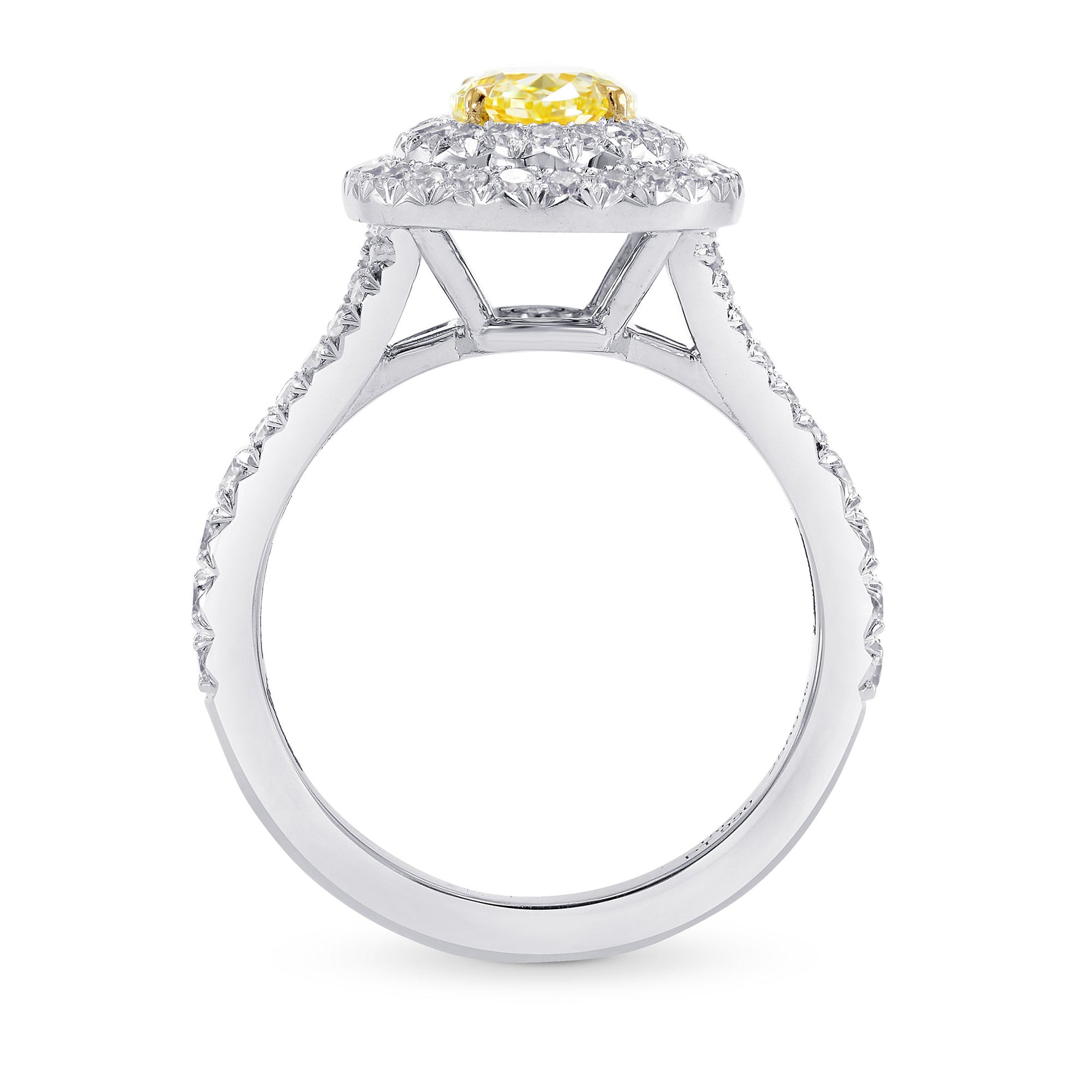 Fancy Yellow Oval Double Halo Ring