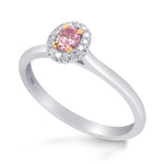 Argyle Fancy Intense Pink Oval Diamond Halo Ring
