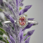 Argyle Fancy Intense Pink Oval Diamond Halo Ring