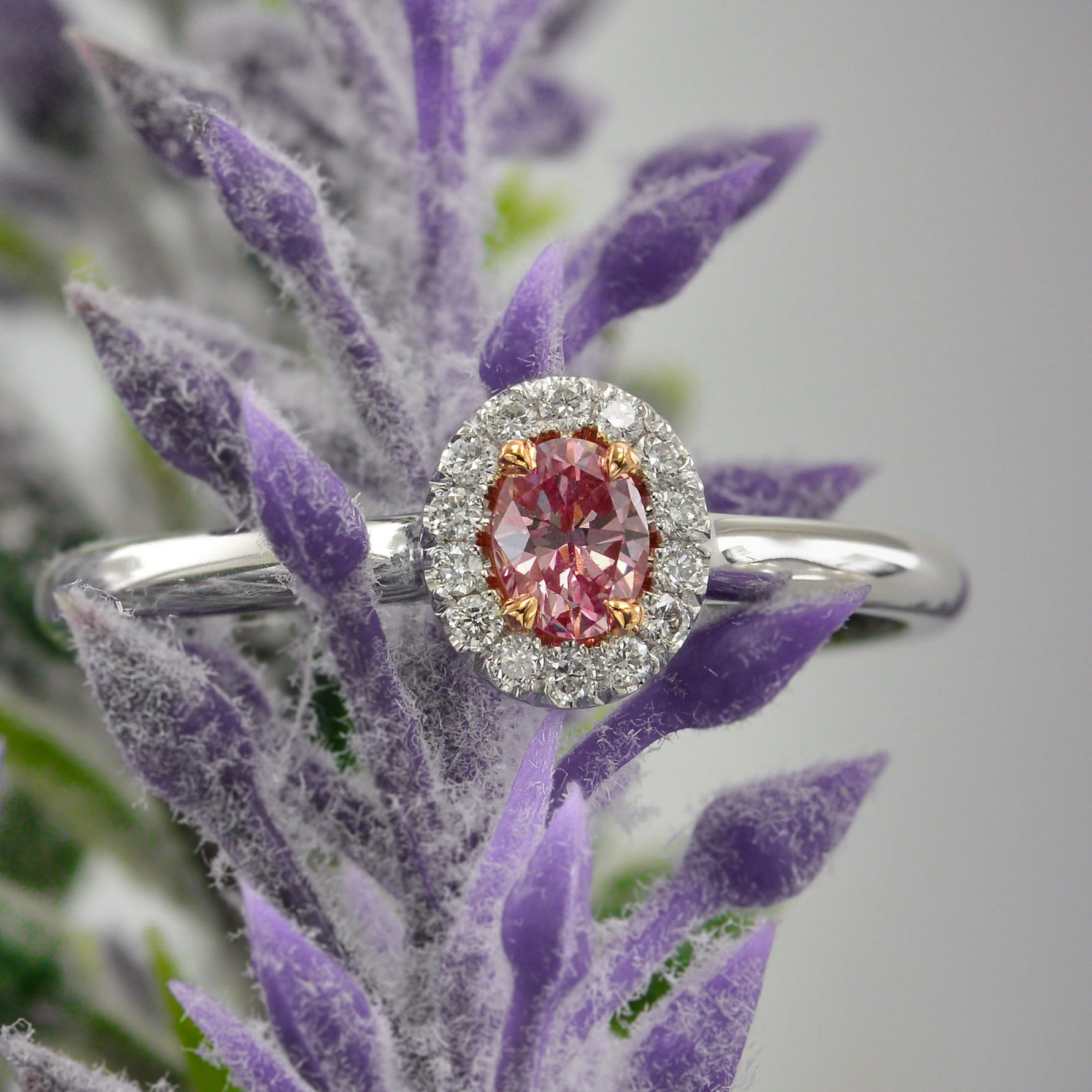 Argyle Fancy Intense Pink Oval Diamond Halo Ring