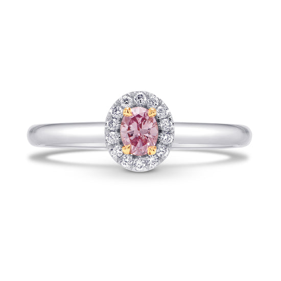 Argyle Fancy Intense Pink Oval Diamond Halo Ring