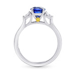 Sapphire & Diamond 3 Stone Engagement Ring with Yellow Diamond Accent