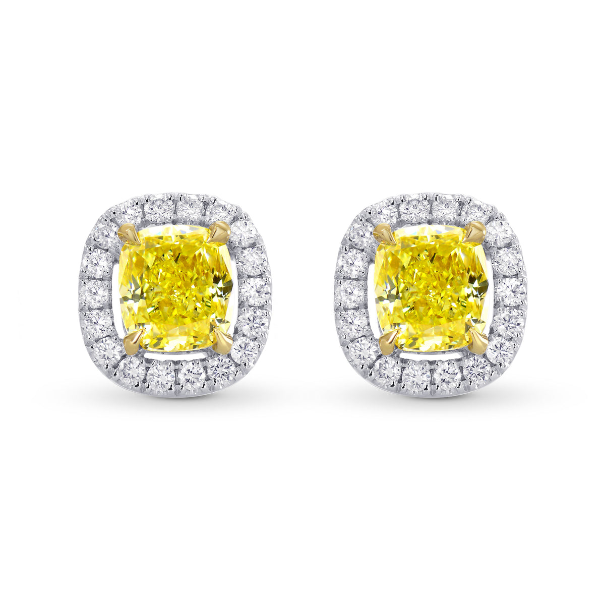 Fancy Intense Yellow Cushion Diamond Halo Earrings