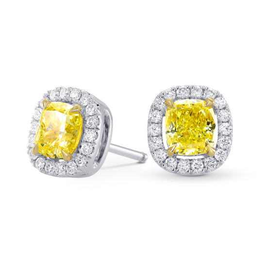 Fancy Intense Yellow Cushion Diamond Halo Earrings