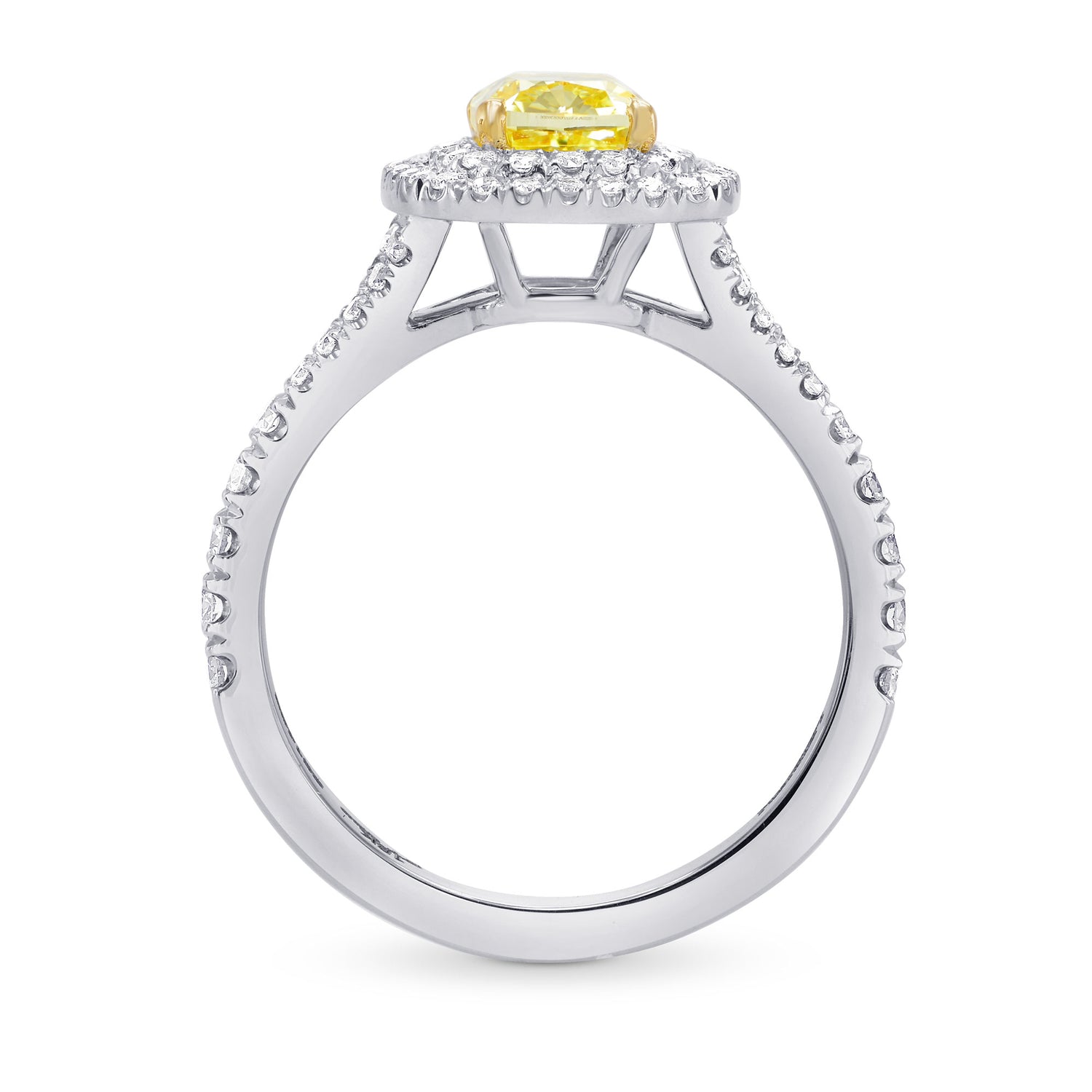Double Halo Engagement & Wedding Ring Setting - 4