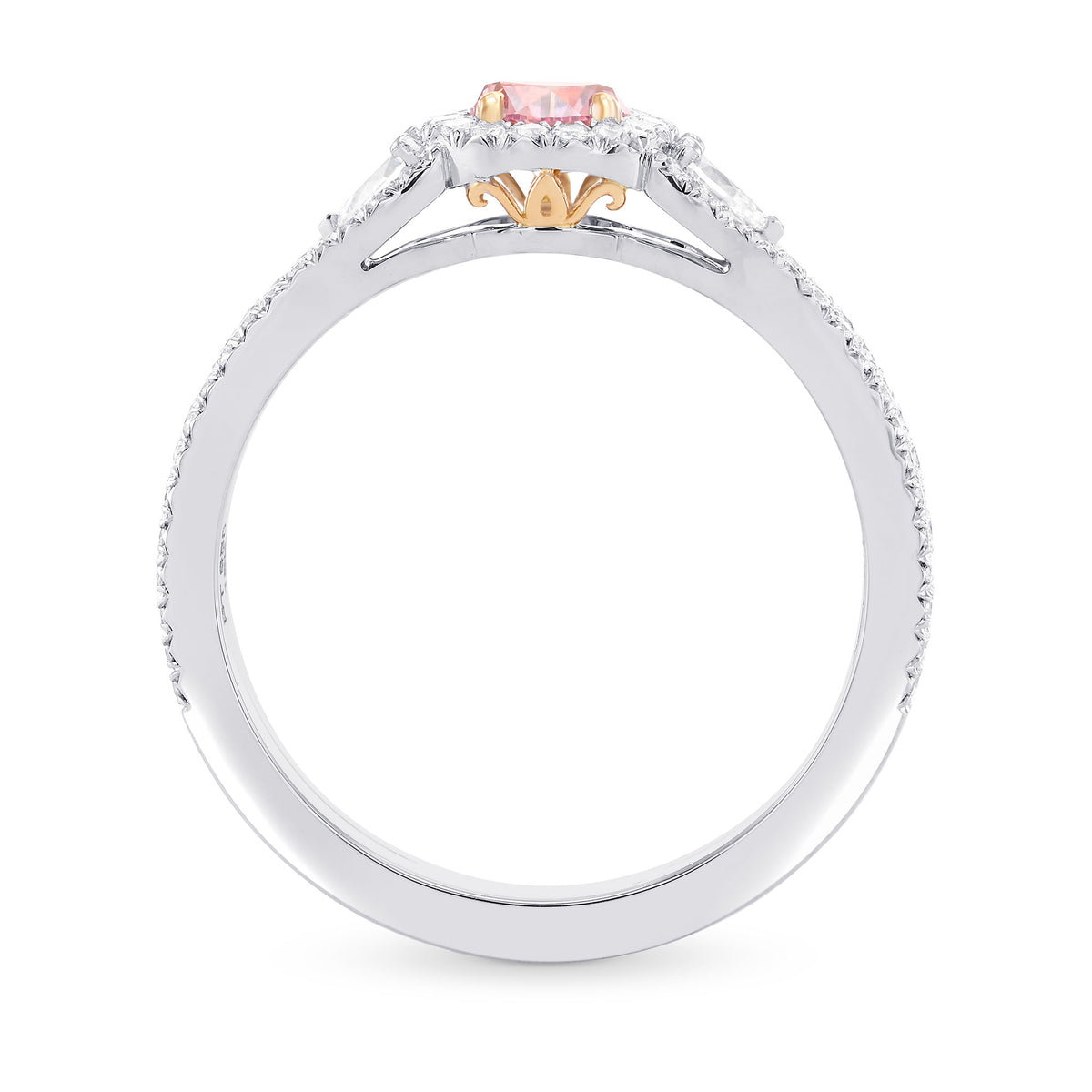 Argyle Fancy Intense Purplish Pink Diamond Engagement Ring