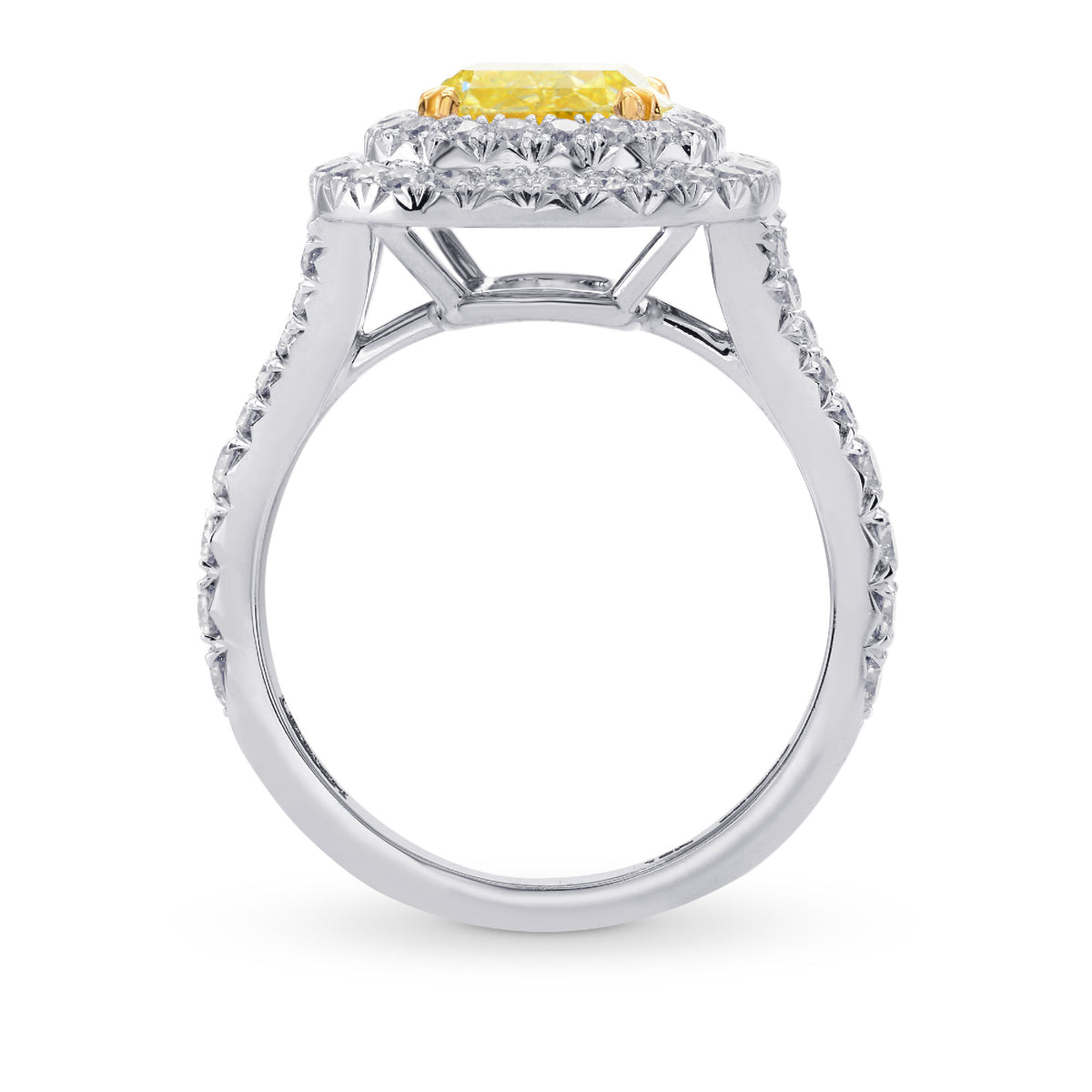 Fancy Intense Yellow Cushion Diamond Halo Ring