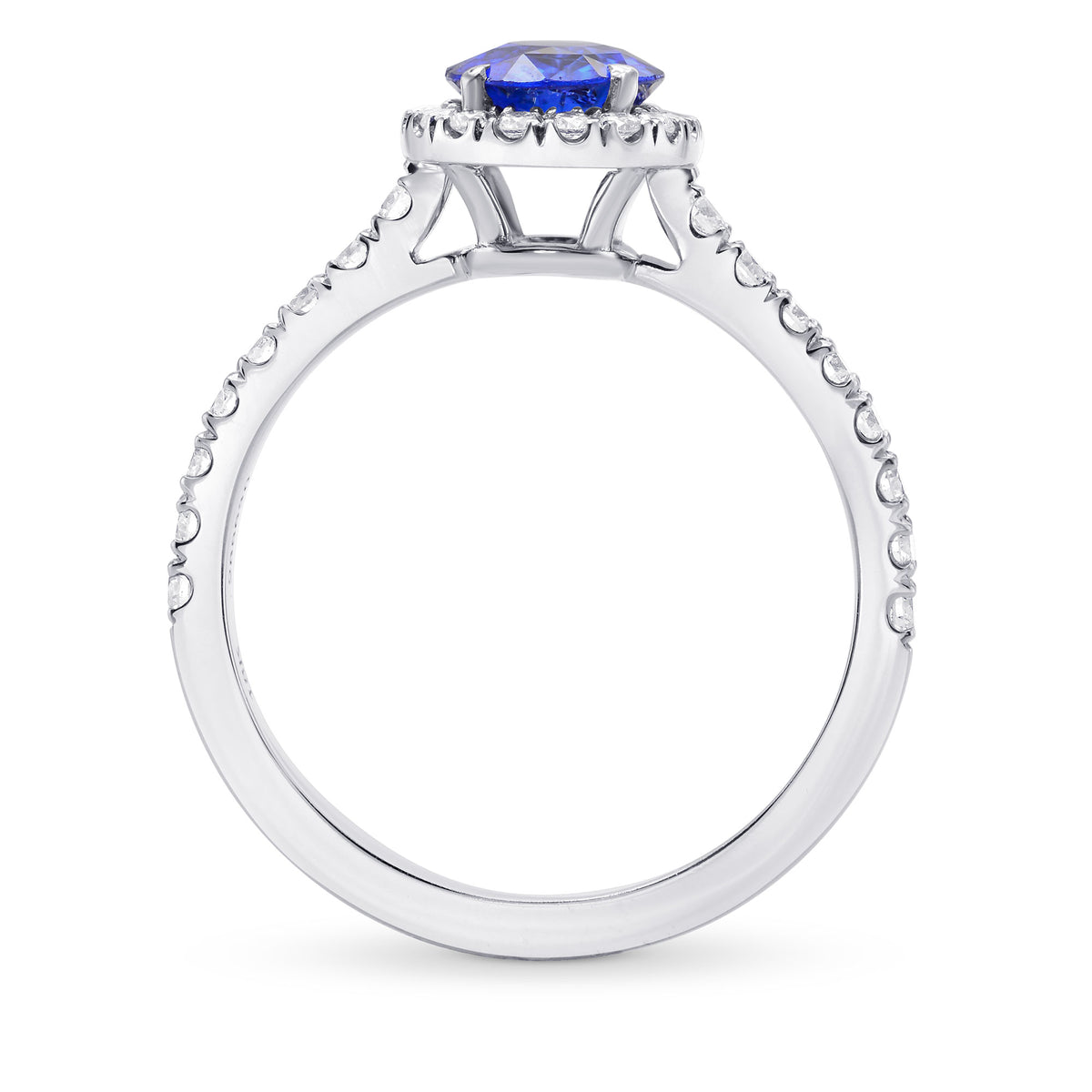 Sapphire & Diamond Halo Ring