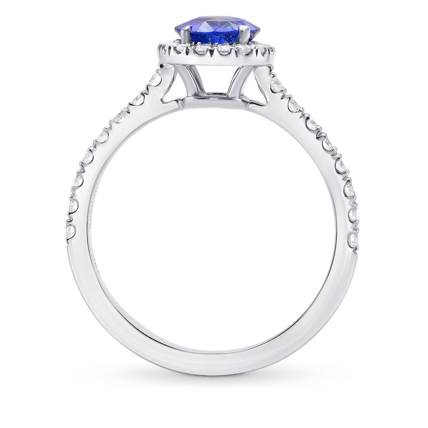 Sapphire & Diamond Halo Ring