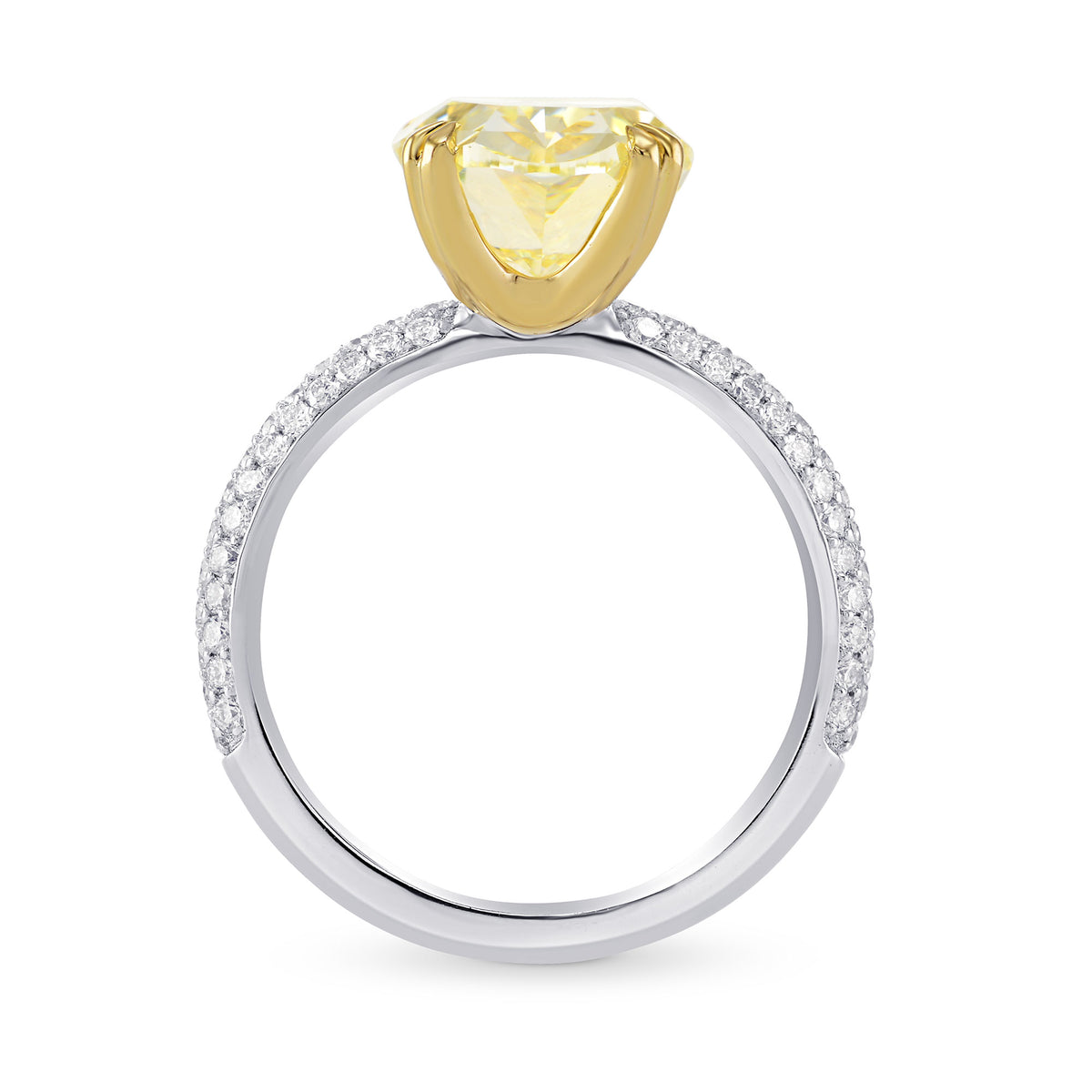 Solitaire & Contoured Pave Side-stone Ring - 2