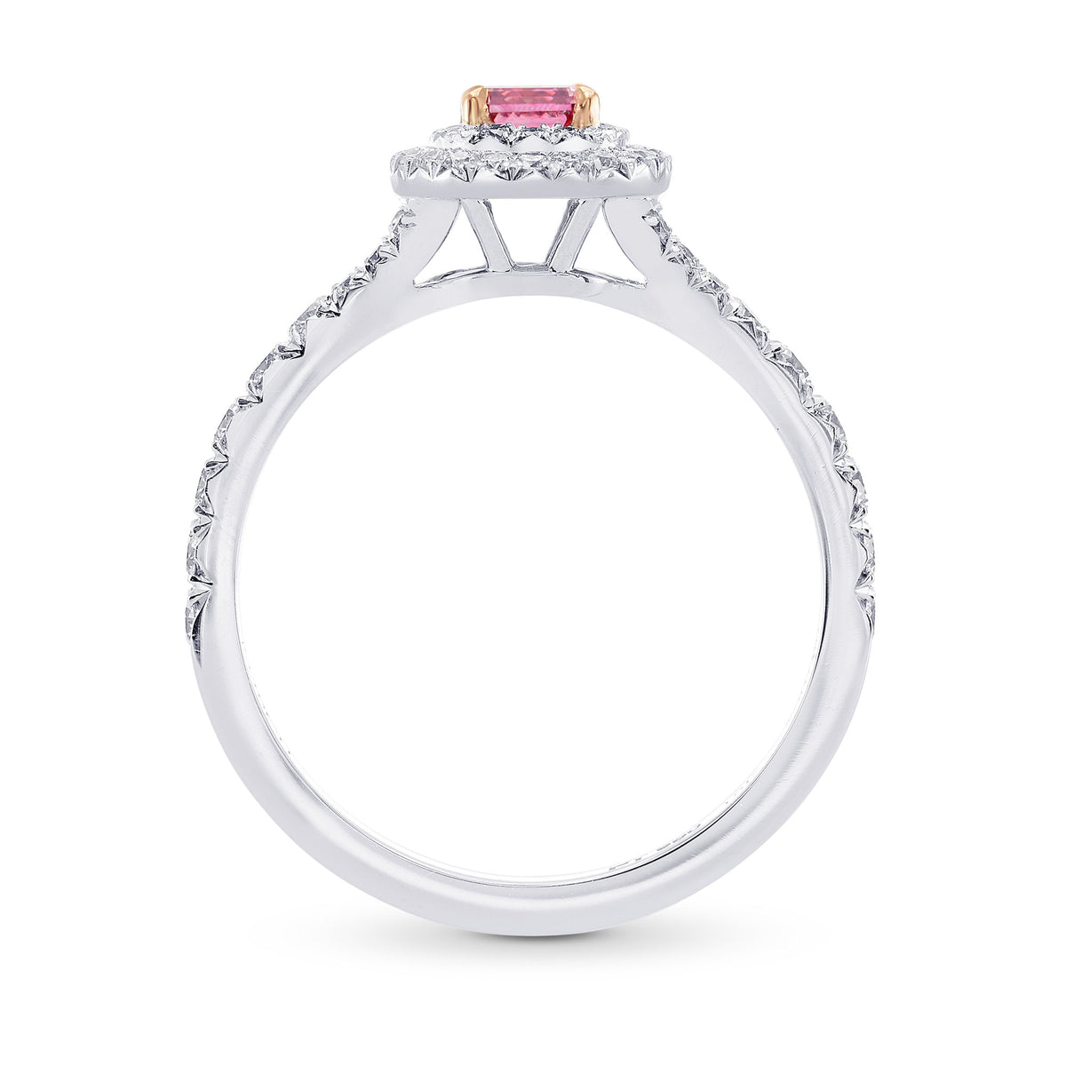 Fancy Vivid Pink Diamond Double Halo Ring