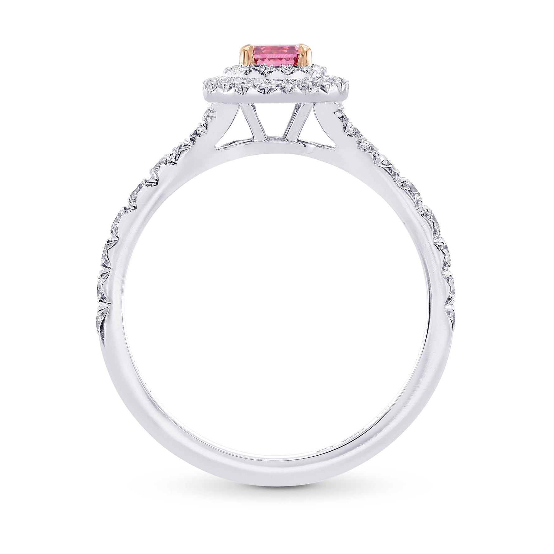 Fancy Vivid Pink Diamond Double Halo Ring