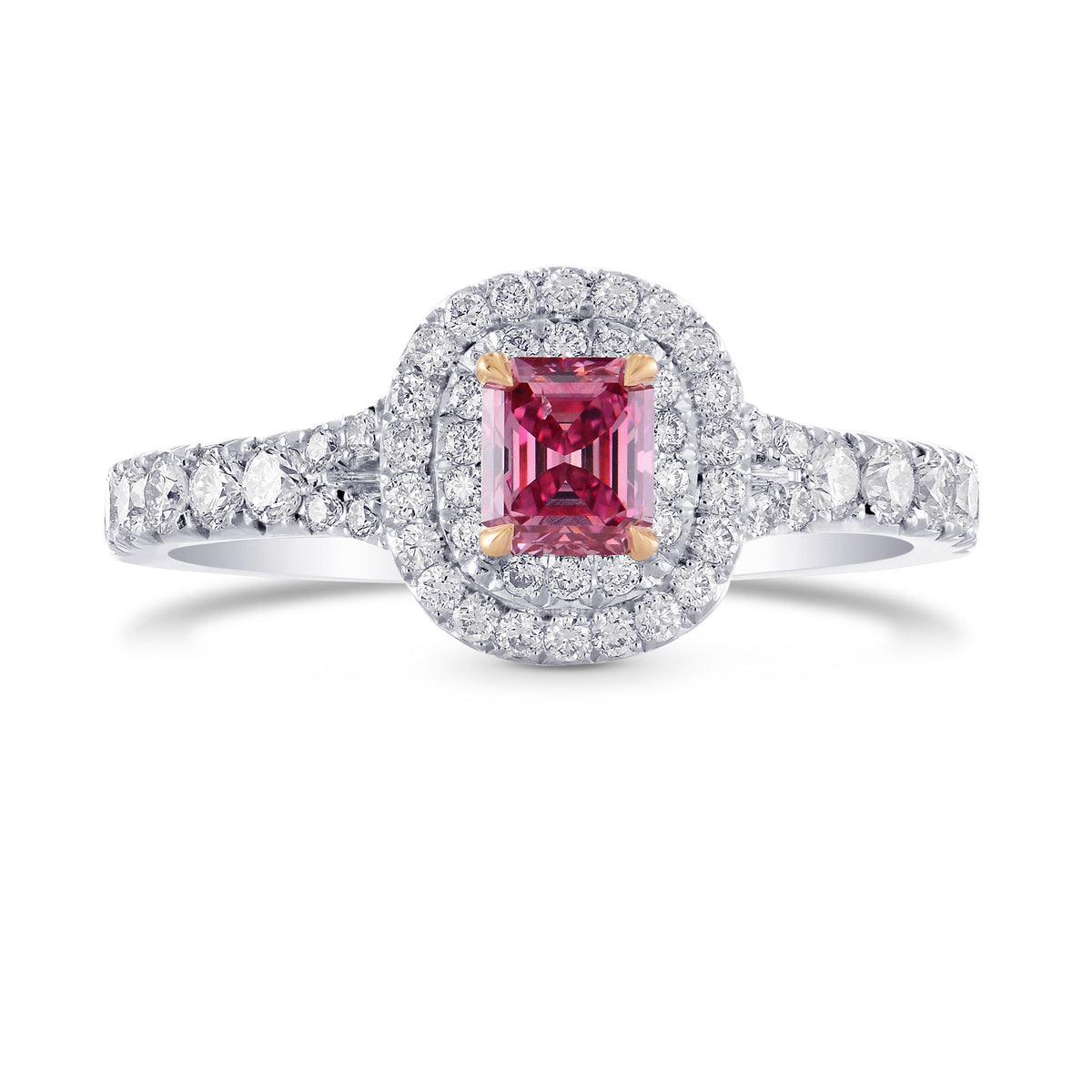 Fancy Vivid Pink Diamond Double Halo Ring