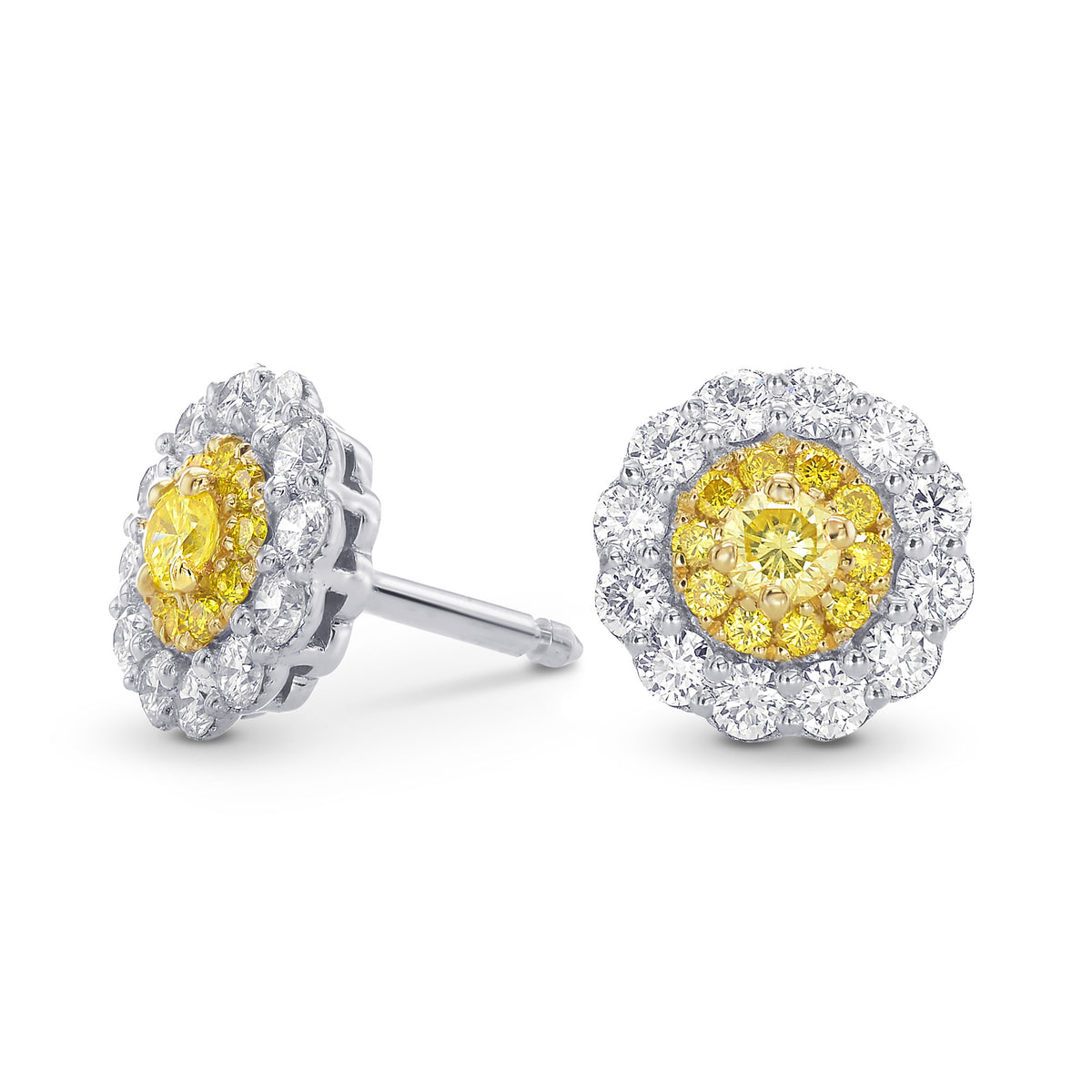 Round Brilliant Yellow Diamond Halo Earrings