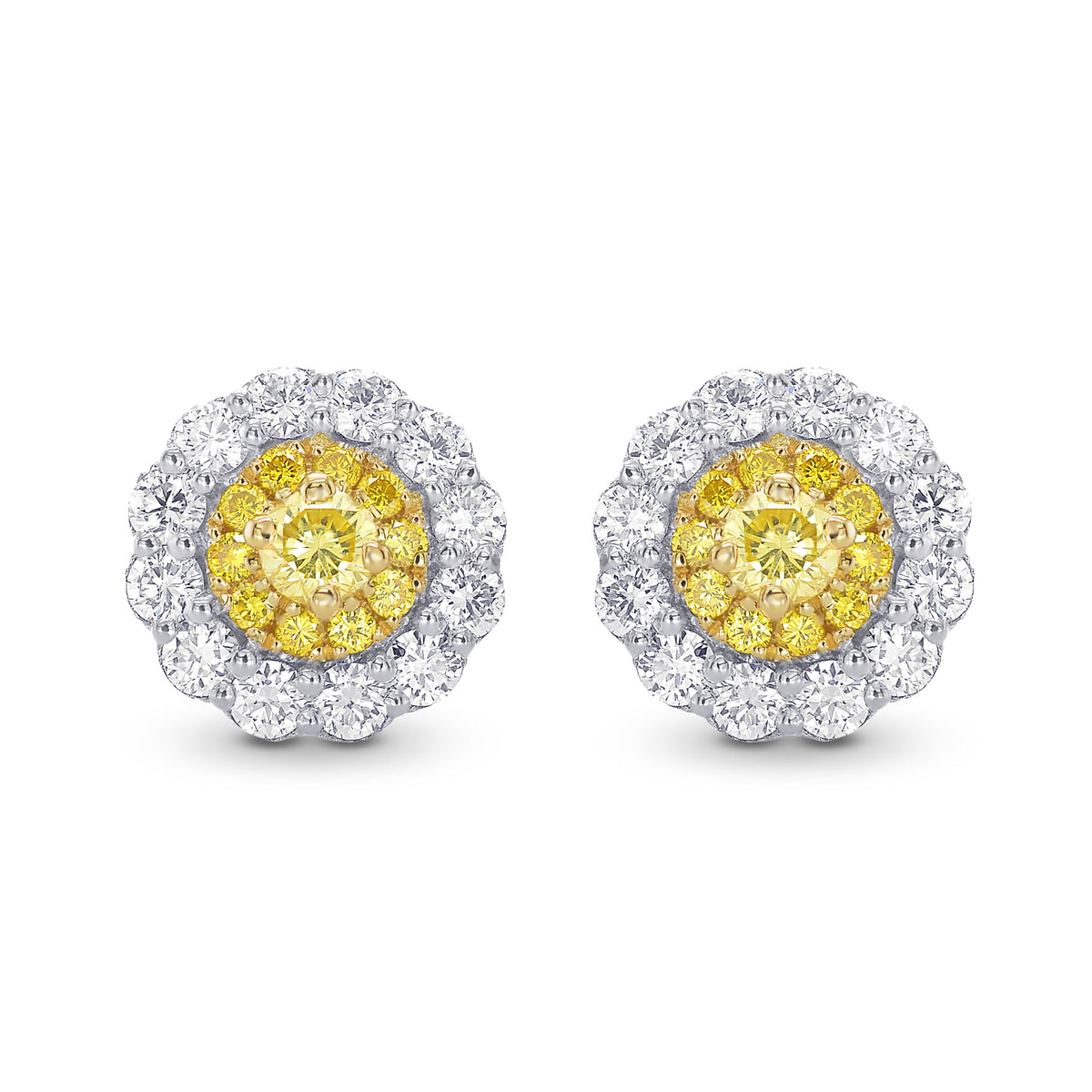 Round Brilliant Yellow Diamond Halo Earrings