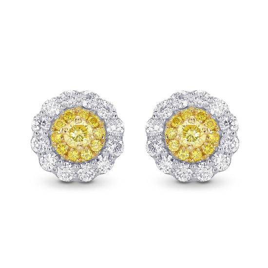 Round Brilliant Yellow Diamond Halo Earrings
