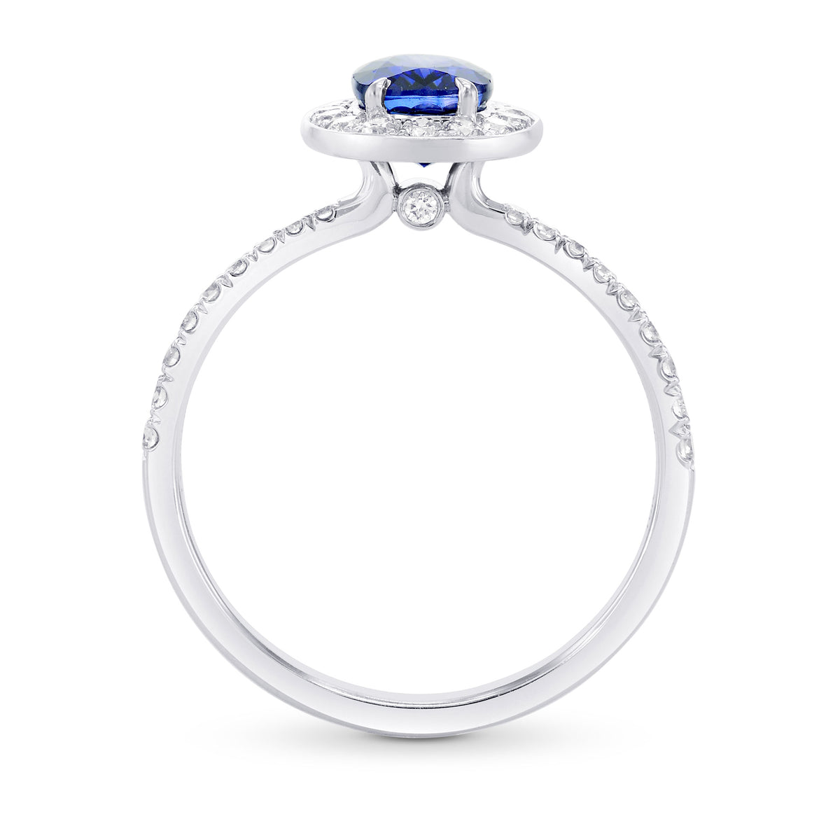 Sapphire and Diamond  Halo Ring