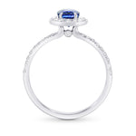 Sapphire and Diamond  Halo Ring