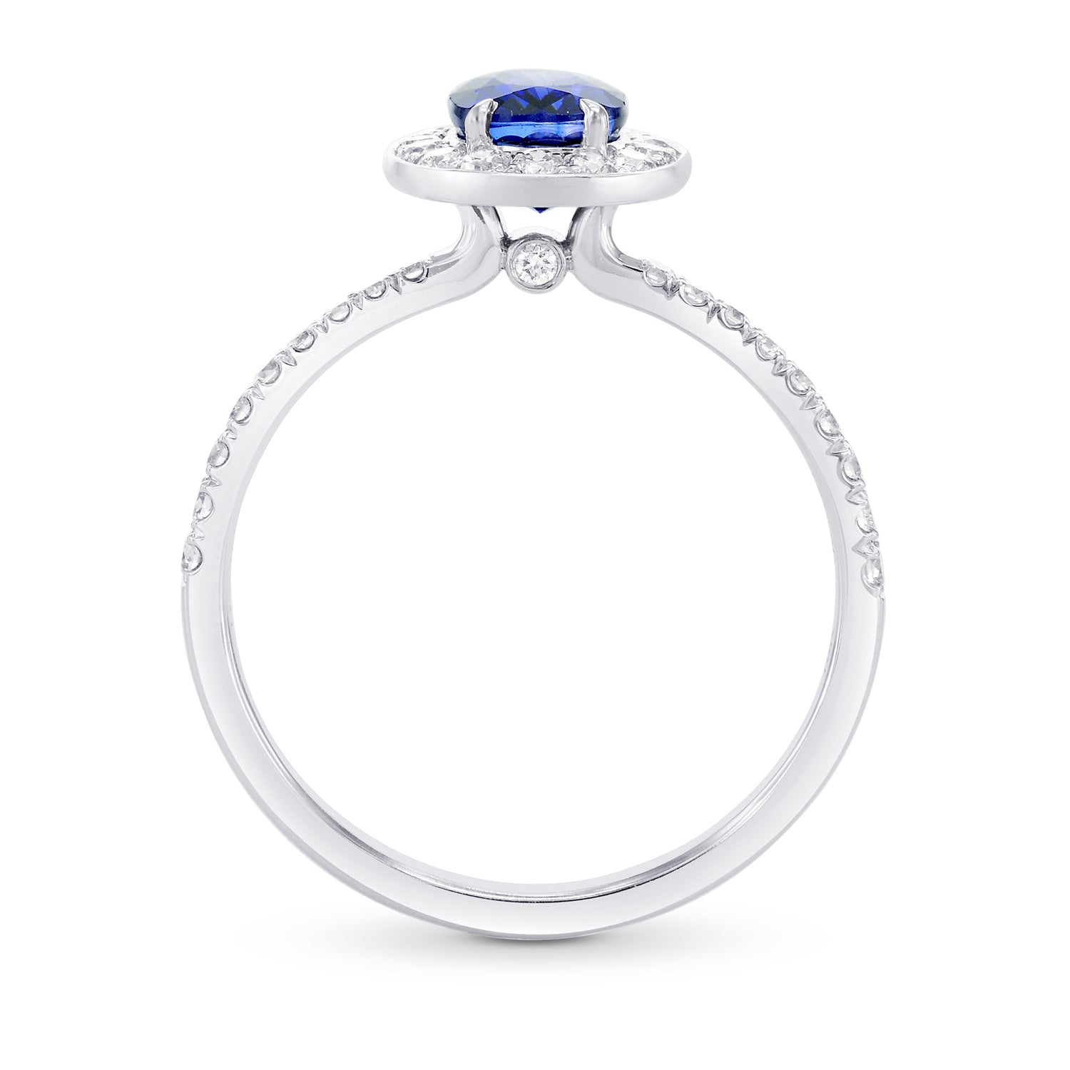 Sapphire and Diamond  Halo Ring