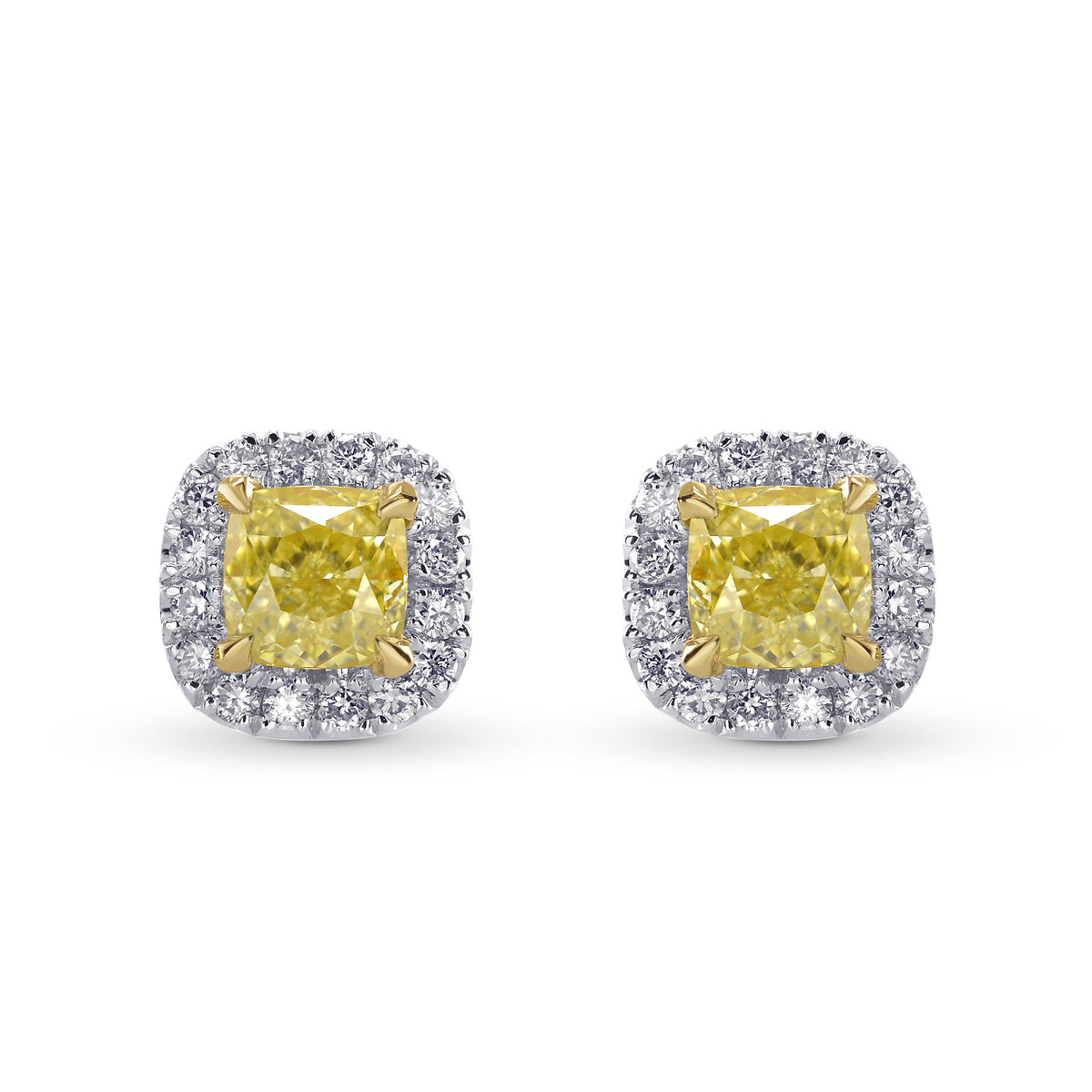  Fancy Yellow Cushion Halo Stud Earrings
